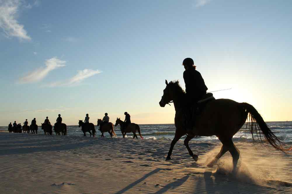 Balade à cheval