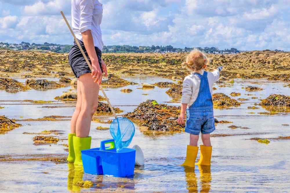 Pêche à pied